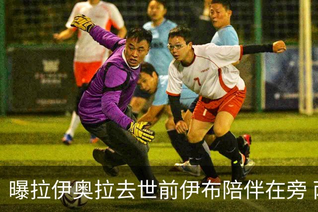 曝拉伊奥拉去世前伊布陪伴在旁 两人合作多年